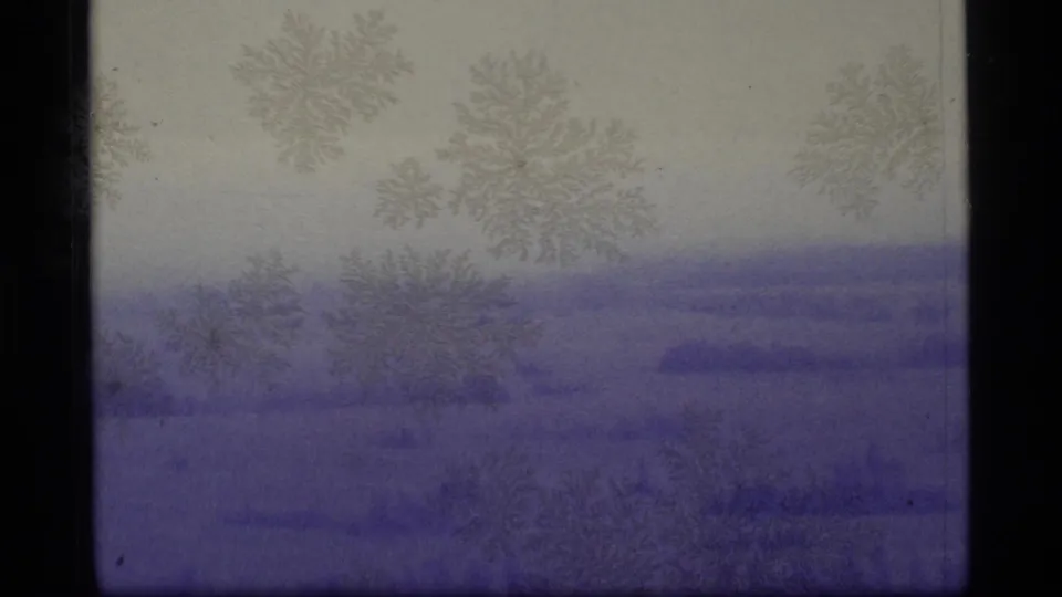 1977 Alaska 8mm frame with a distant purple winter scene, faint tree or shrub shapes, pale sky, and heavy film wear.