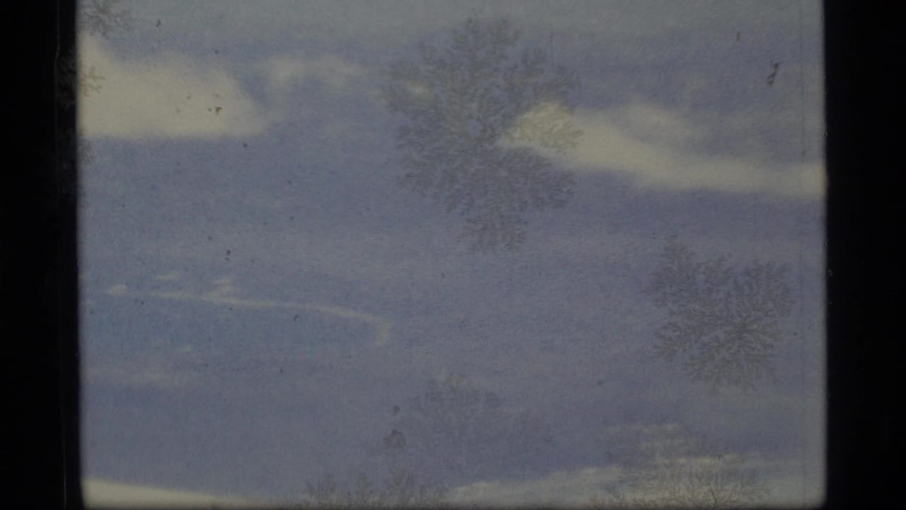 Faded forest view with dark film borders and little visible subject detail.