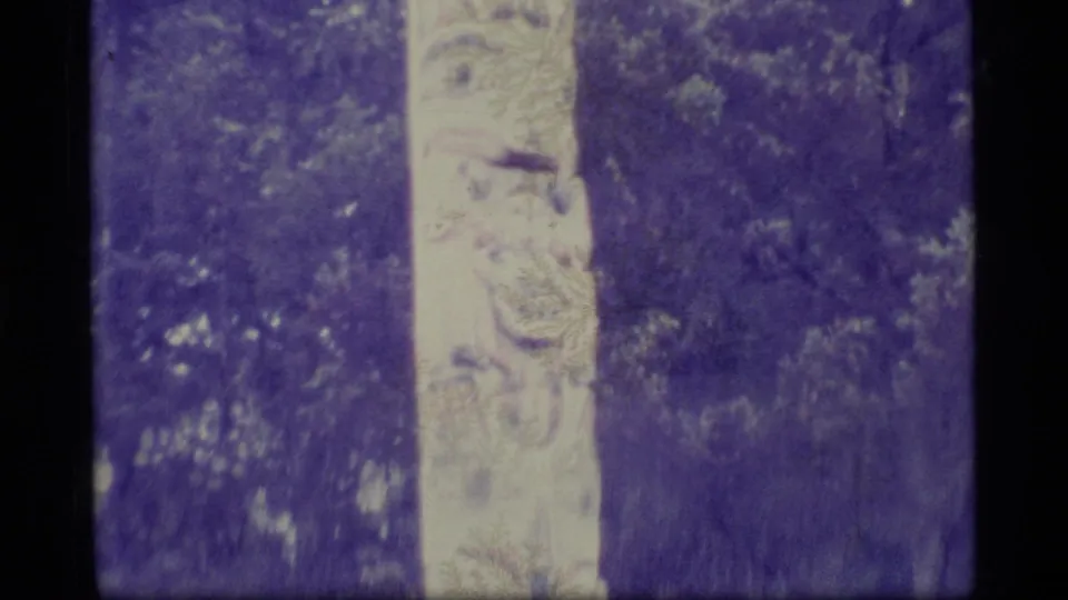 The 1977 Alaska home-movie frame centers a carved totem pole in the woods, with visible grain and purple color fading.