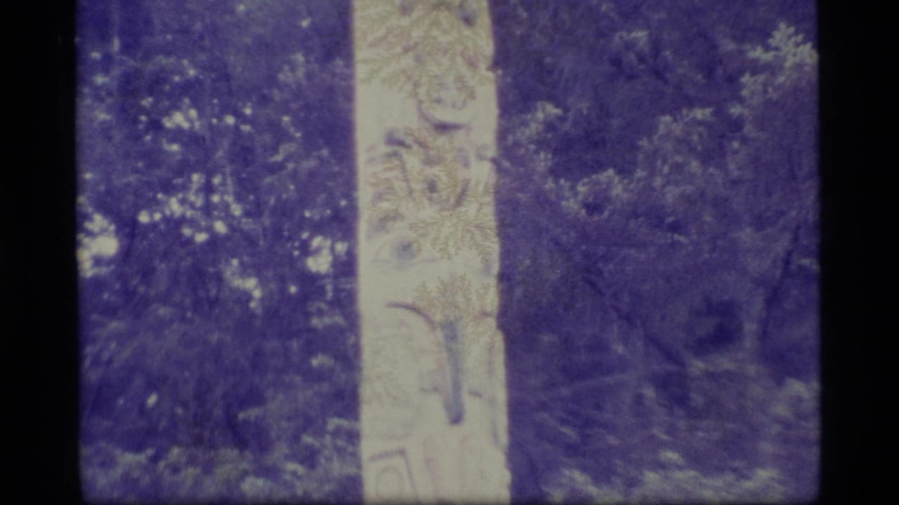 1977 Alaska 8mm frame showing part of a carved totem pole rising in a dense evergreen forest with visible purple color shift.