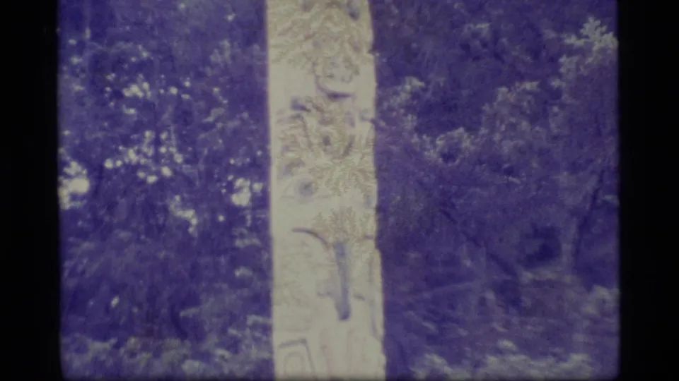 1977 Alaska 8mm frame showing part of a carved totem pole rising in a dense evergreen forest with visible purple color shift.