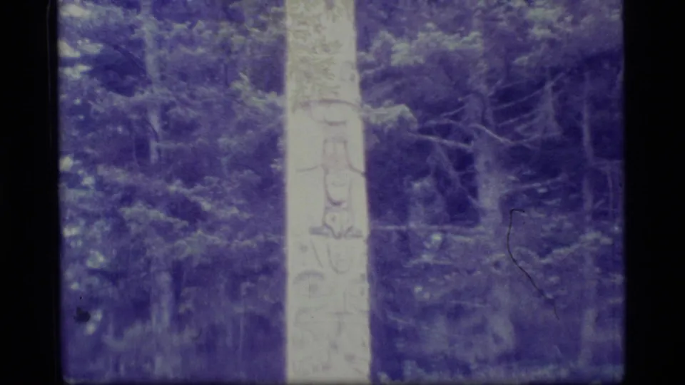 1977 Alaska 8mm frame showing a lower section of the carved pole with forest branches and undergrowth around it.