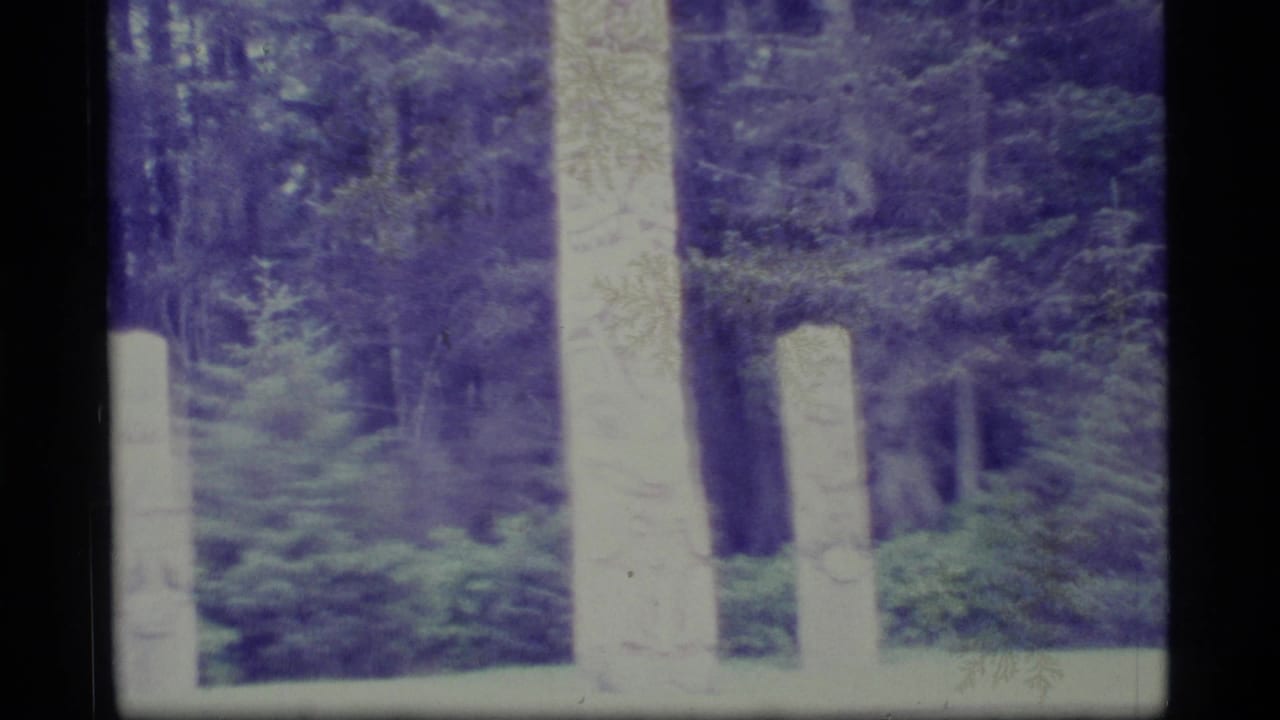 Pale carved poles standing among dense evergreen trees on faded 8mm film.