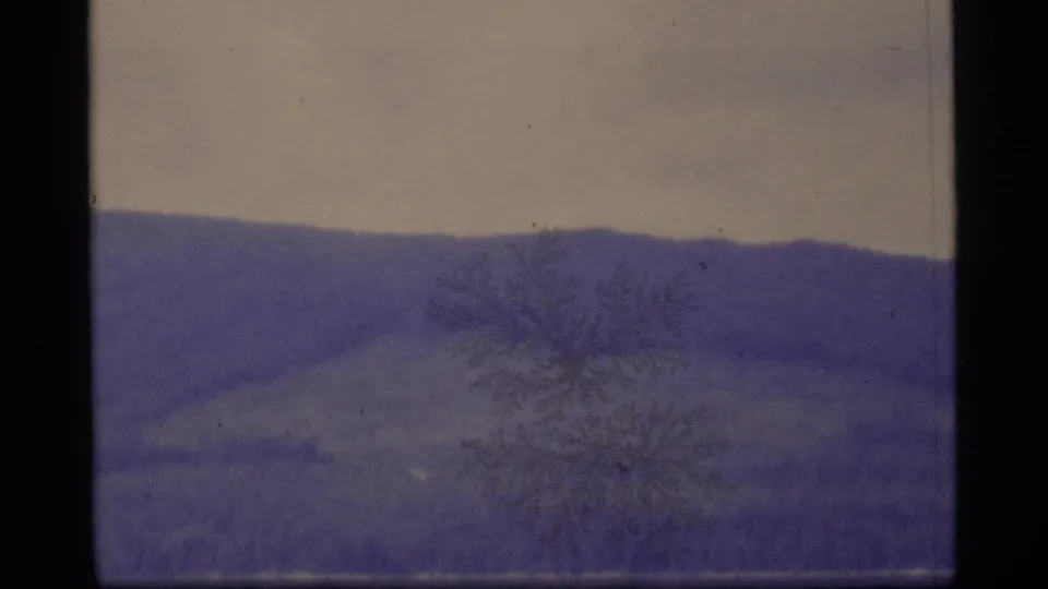 1977 Alaska 8mm view of a distant hillside across calm water, softened by purple color drift and central film marking.