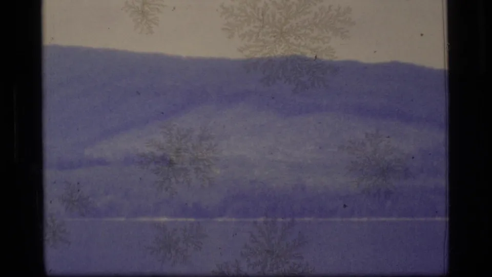 1977 Alaska 8mm frame showing a closer view of a forested hillside beyond calm water, with visible grain, color shift, and surface marks.
