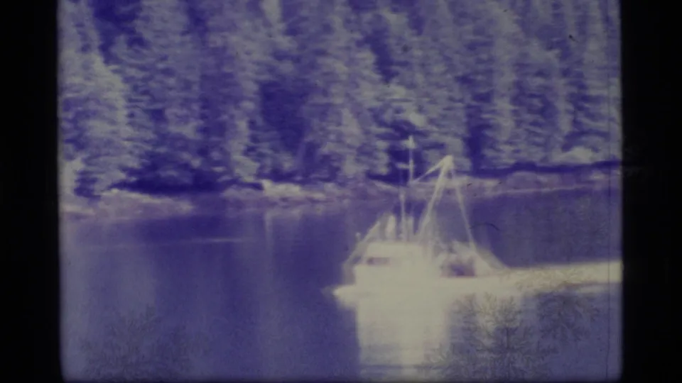 Small boat on an Alaskan lake, with dark water and dense evergreens visible through the blue-purple 8mm film cast.