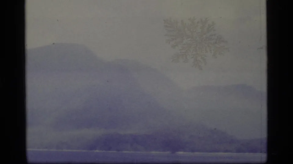 1977 Alaska home-movie frame with soft hills, a low shoreline, pale sky, and a bare tree form near the right edge.