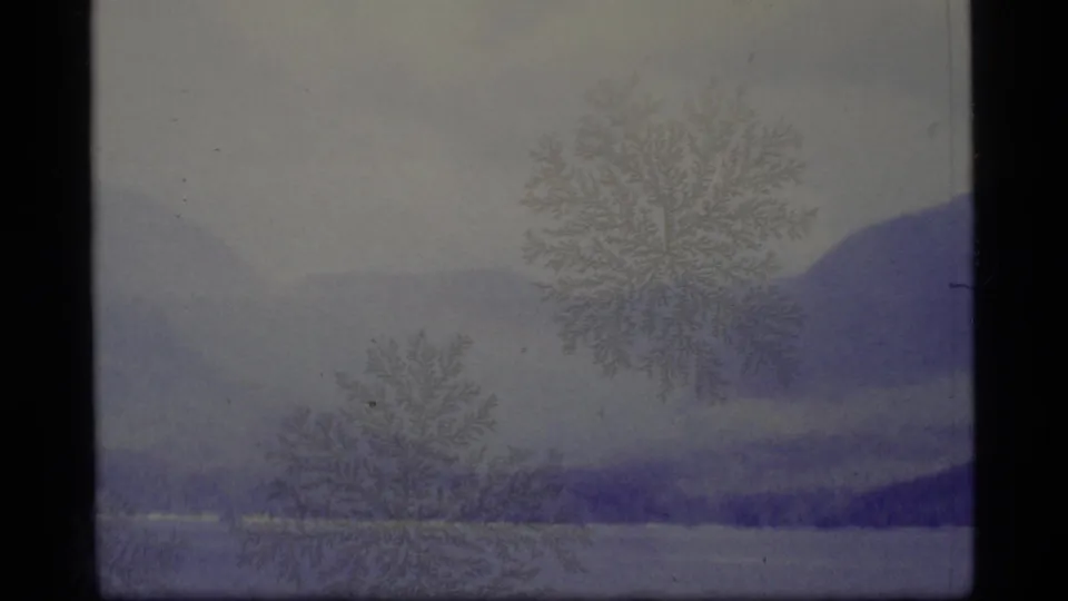 1977 Alaska landscape frame with bare foreground trees, a dark forest band, a lake edge, and blue hills in haze.