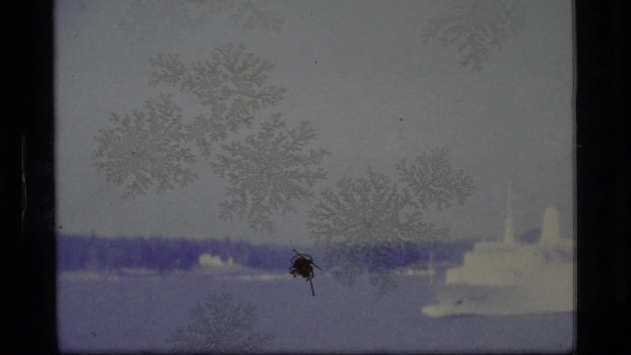 1977 Alaska 8mm frame showing a distant white cruise ship moving across calm water beneath an overcast sky and marked film surface.
