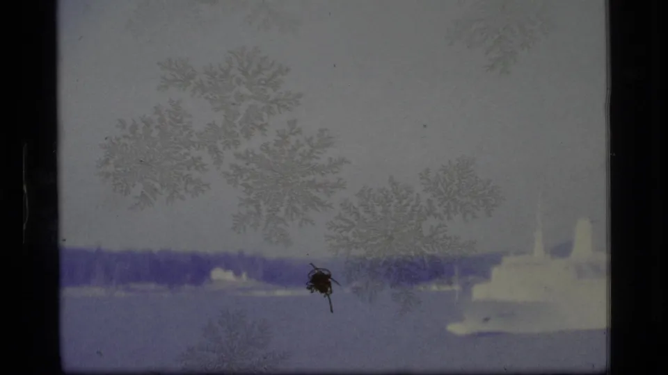 1977 Alaska 8mm frame showing a distant white cruise ship moving across calm water beneath an overcast sky and marked film surface.