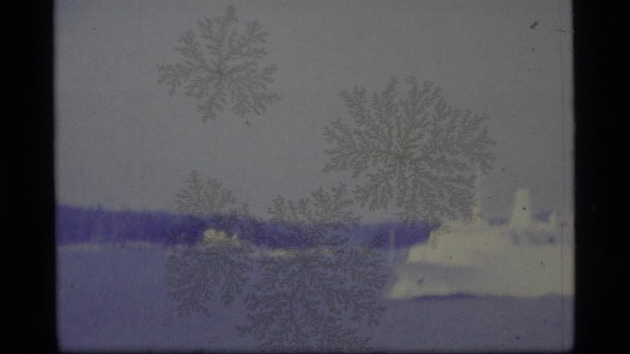 White cruise ship near the right side of the frame with shoreline, water, and patterned film marks.