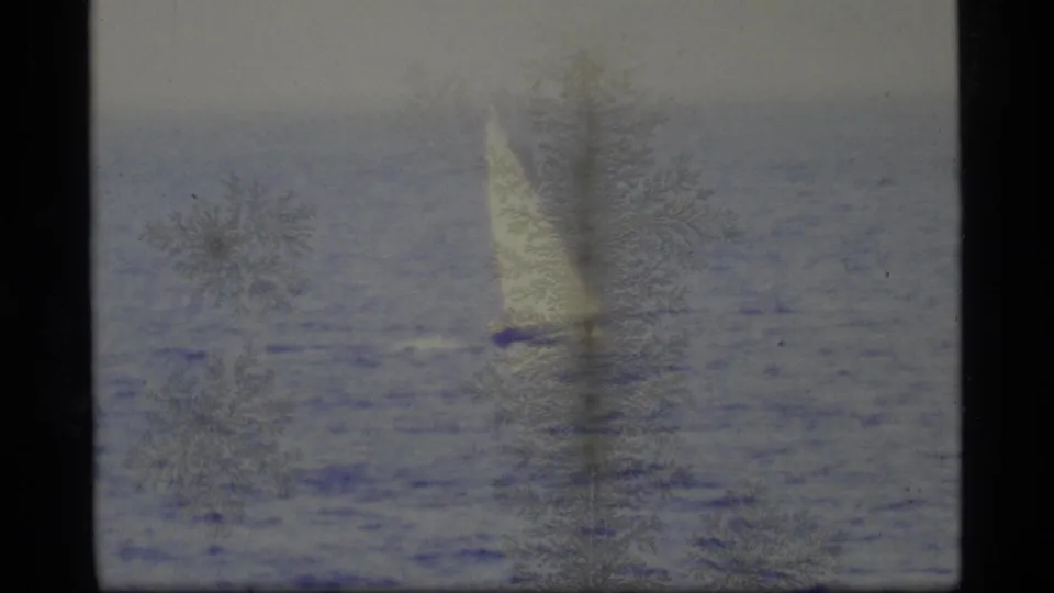 1977 Alaska home-movie frame of a lone sailboat on open water, with a bright triangular sail, soft exposure, and visible film wear.
