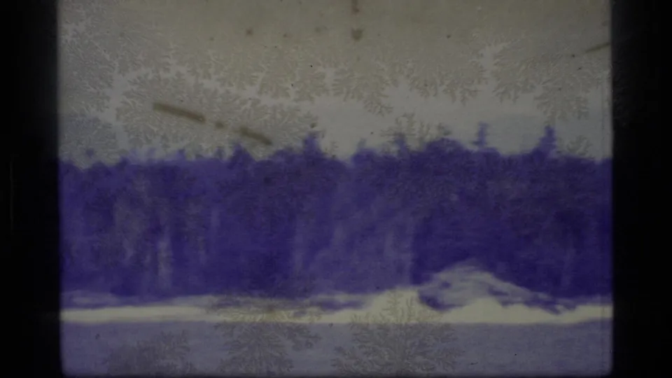 A low wooded Alaskan shoreline appears beyond still water in 1977 8mm footage, with purple-blue color shift and emulsion patterns.