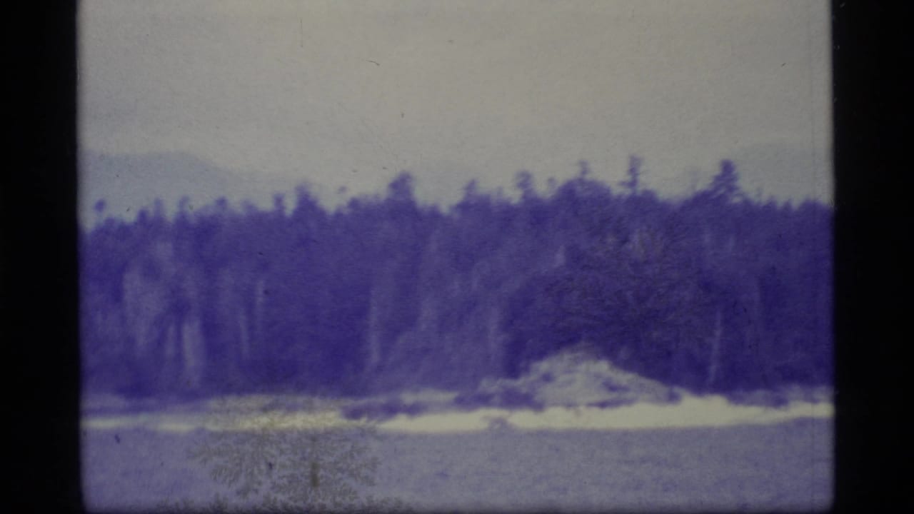 Distant forested shoreline across calm water with hazy mountains behind it.