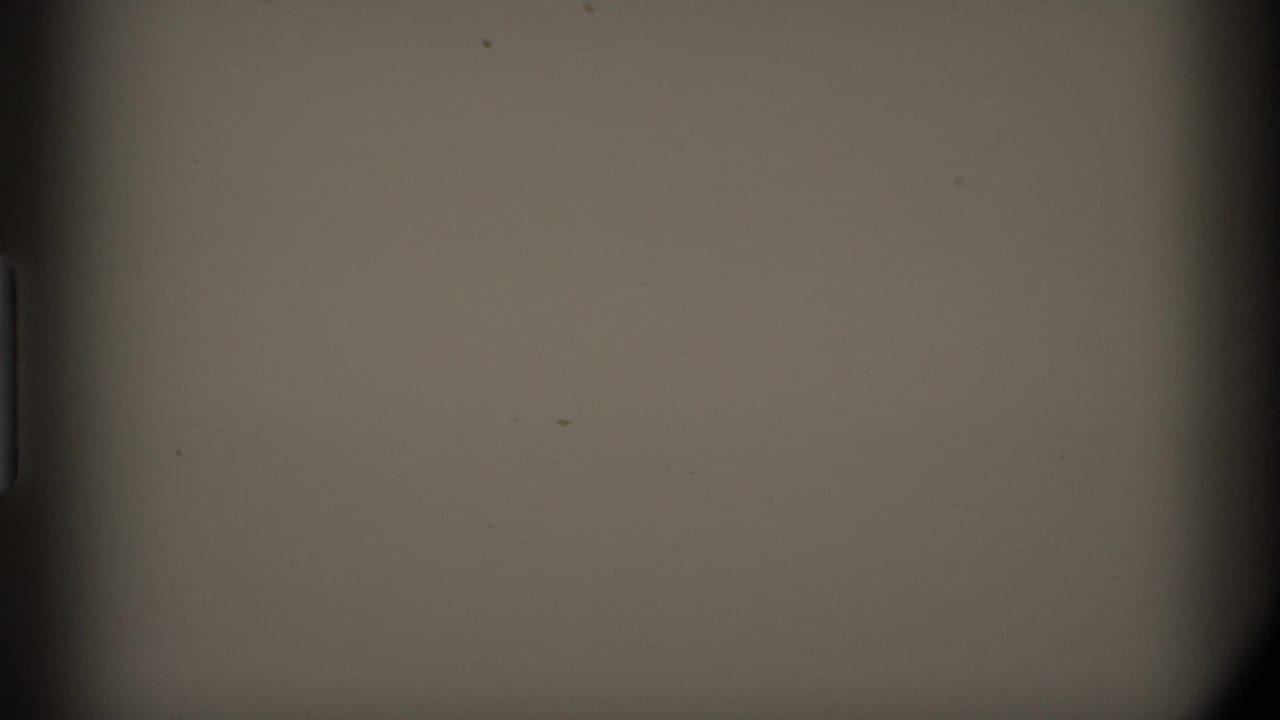 1977 Alaska 8mm frame showing a largely featureless gray field with dark gate edges, dust, and faint surface marks.