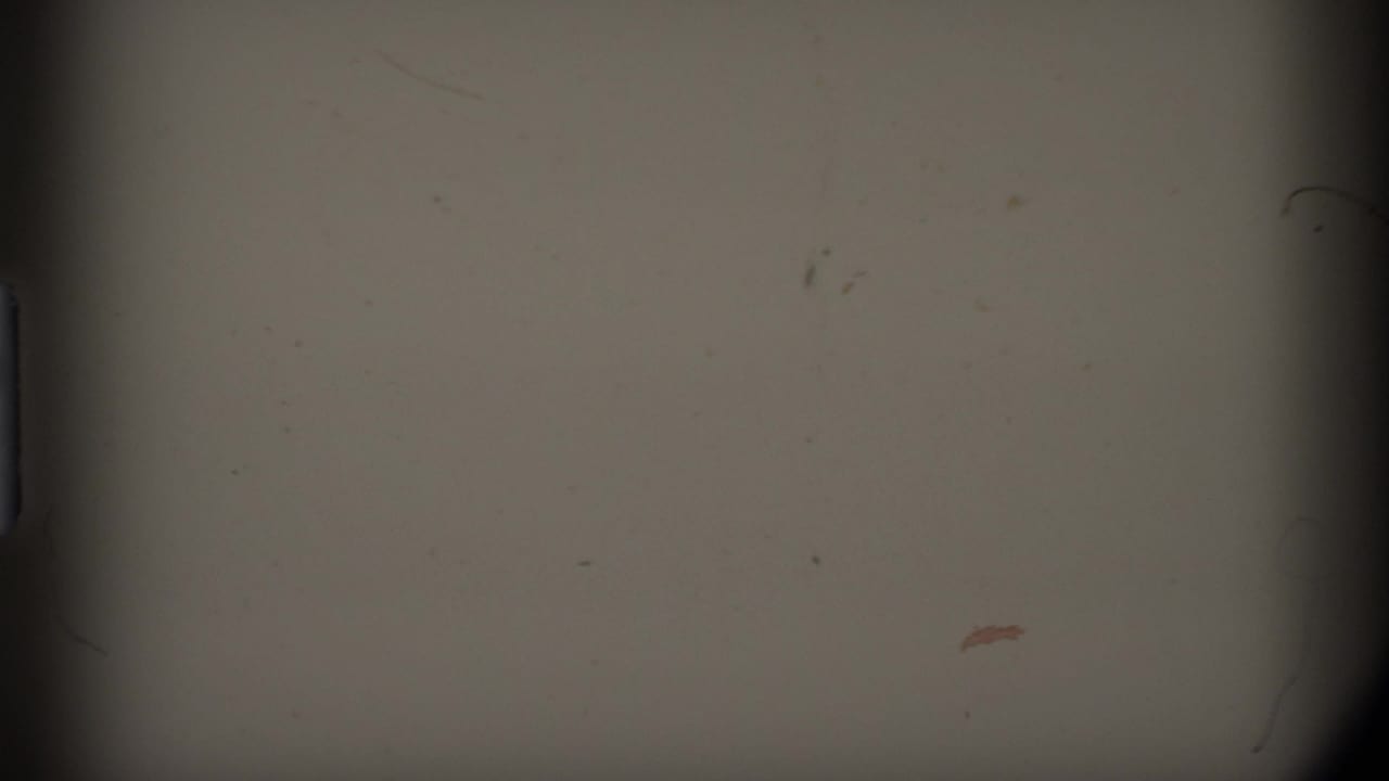 Gray overcast field with a dark vertical band and small film marks.