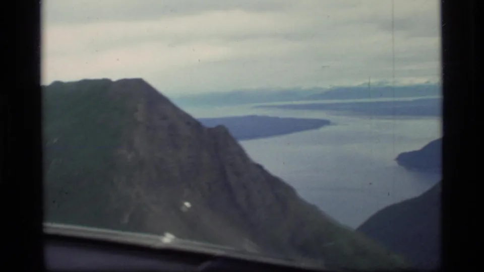 From an aircraft over Glacier Bay in 1977, a steep green-gray mountain drops toward broad water with distant landforms beyond.