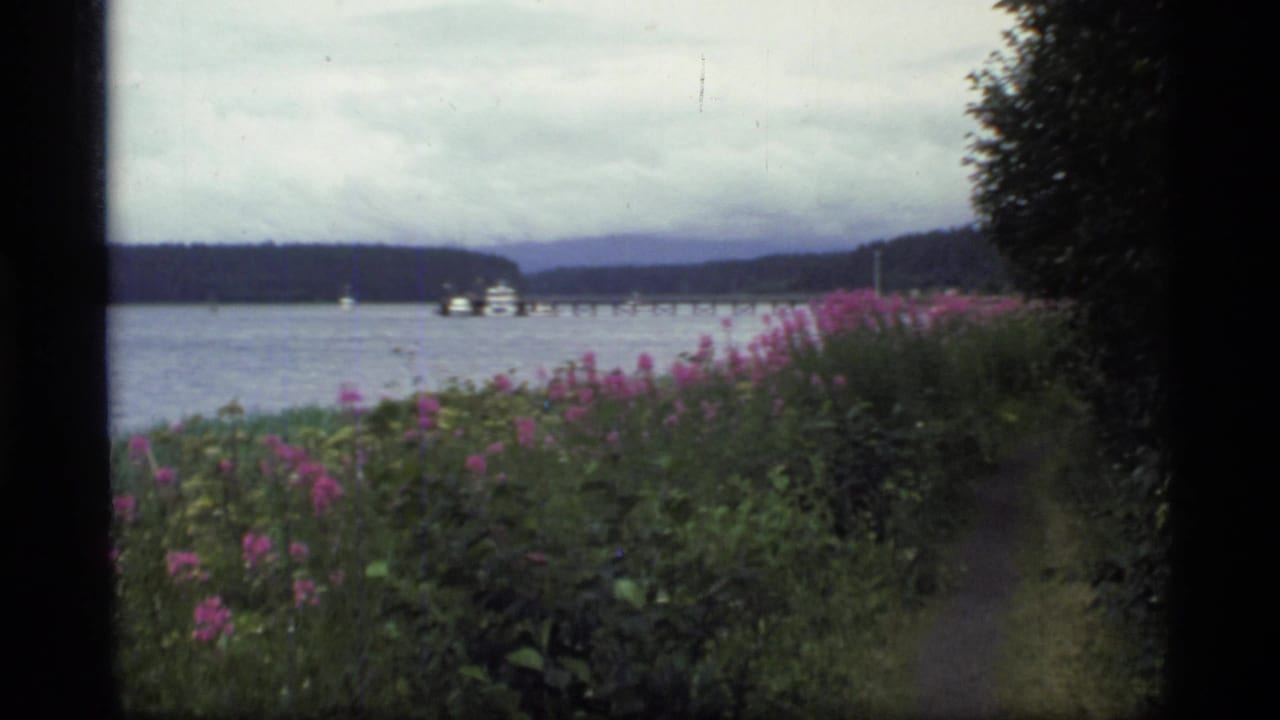 1977 Glacier Bay shoreline view with pink wildflowers, calm water, a distant boat or ferry, and low mountains beneath overcast sky.
