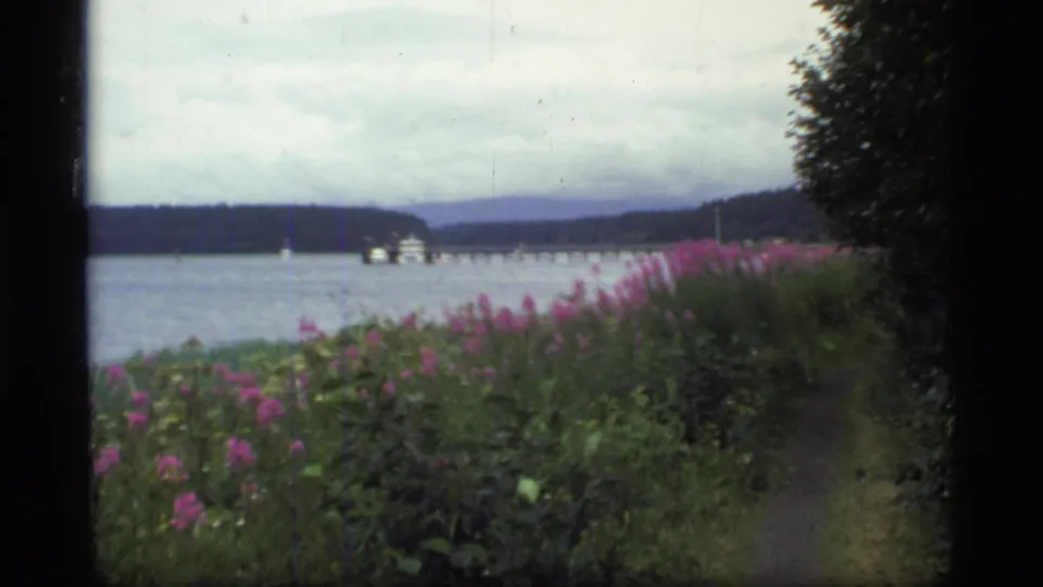 Glacier Bay, Alaska view from 1977 showing shoreline wildflowers, water, distant vessel, pier-like structure, mountains, and overcast sky.