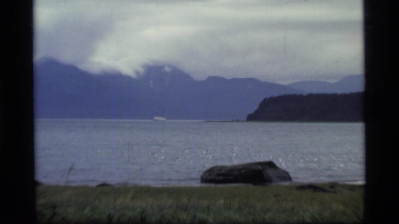 Calm bay water with distant mountains, cloudy sky, shoreline grass, and a dark foreground rock.