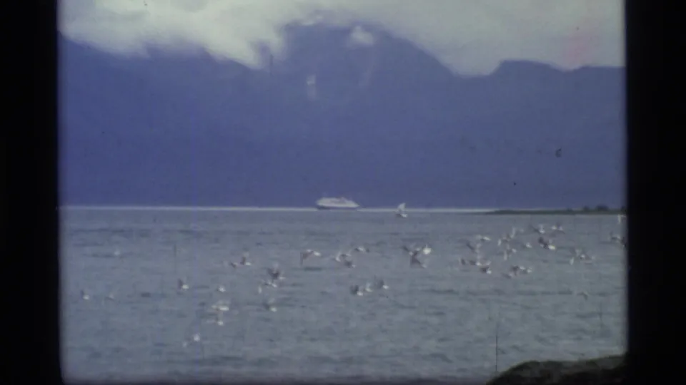 1977 Glacier Bay frame with a small white boat moving across the bay while birds fly over water before dark mountain silhouettes.