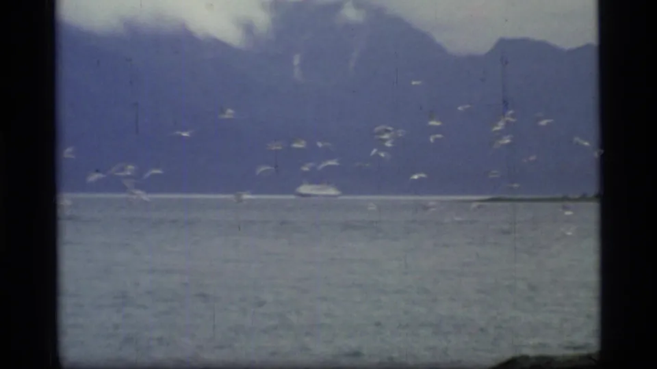 Glacier Bay home-movie frame from 1977 showing birds in flight over open water, with a small boat and blue mountain backdrop.