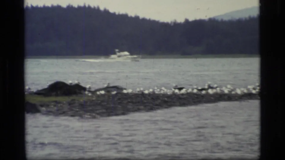 1977 Glacier Bay frame showing birds clustered on a rocky spit, bay water, a small white boat, and a dark wooded shoreline beyond.