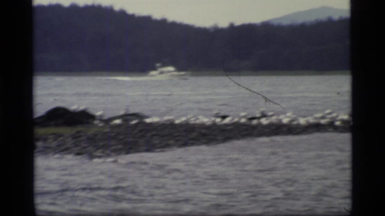 1977 8mm Glacier Bay view of a small white motorboat crossing calm water behind a rocky shoreline with seabirds, forest, and distant hills.