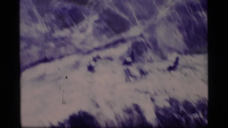 Glacier Bay home-movie frame with ducks crossing a bright icy cove under soft, purple-tinted exposure.