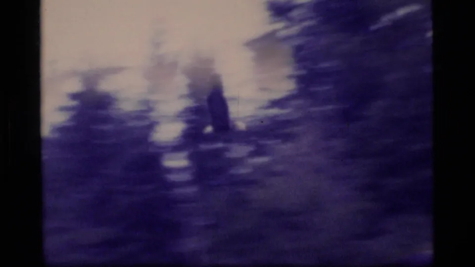Blurred shoreline trees and water appear in a handheld 8mm frame, likely as the camera follows the bird.