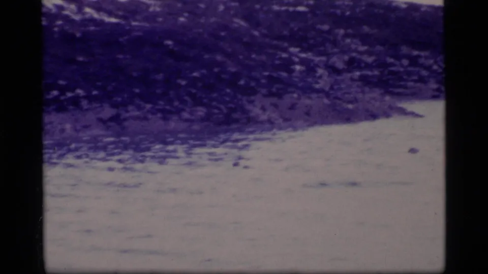A rocky Glacier Bay shoreline meets pale water in a soft, purple-toned 1977 8mm frame with visible grain and edge wear.