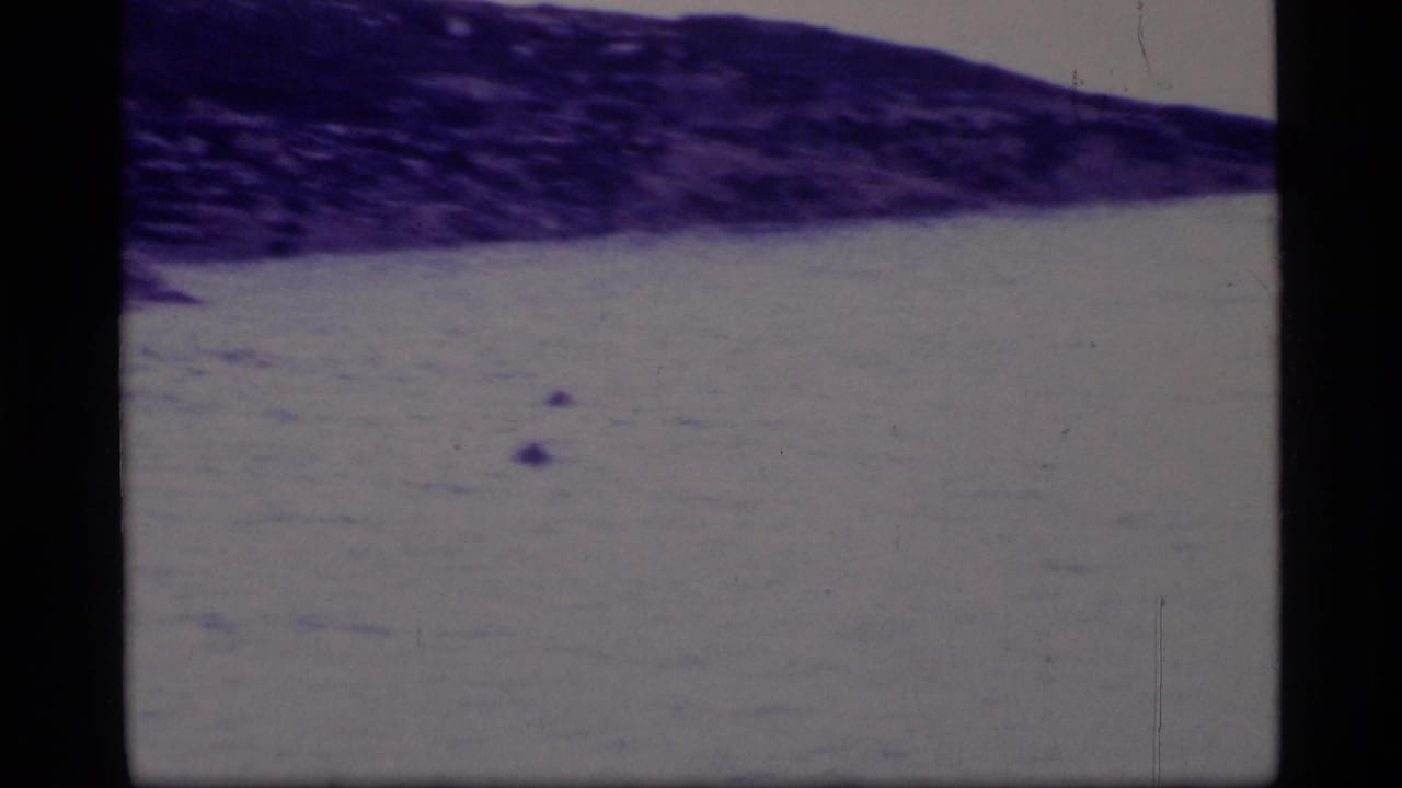 Snowy or icy shoreline across calm dark water with 8mm frame borders.