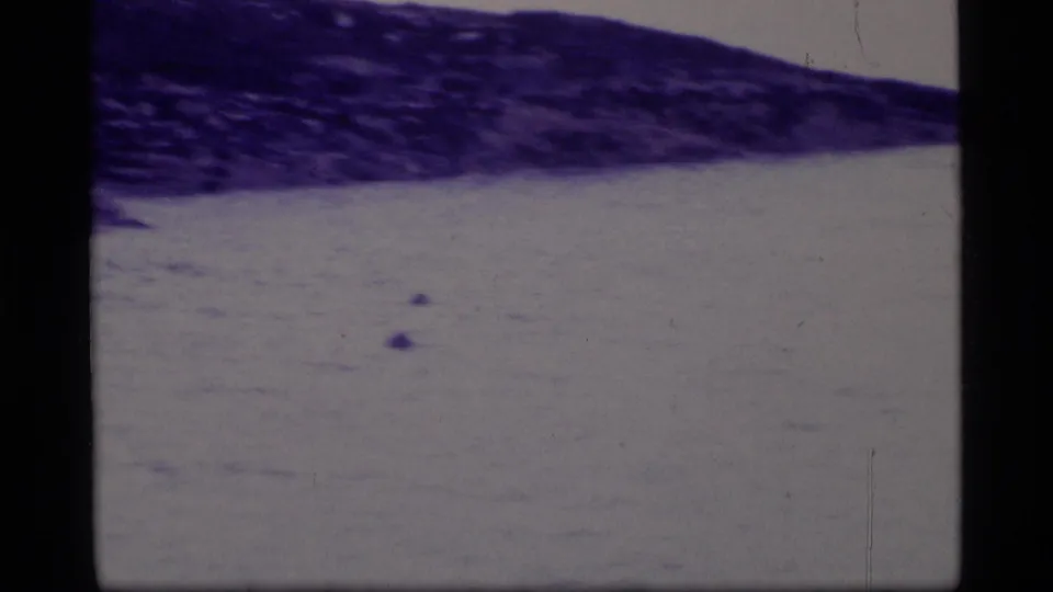 1977 Glacier Bay home-movie frame showing a distant icy shoreline and calm water, tinted blue-purple by aged 8mm film.