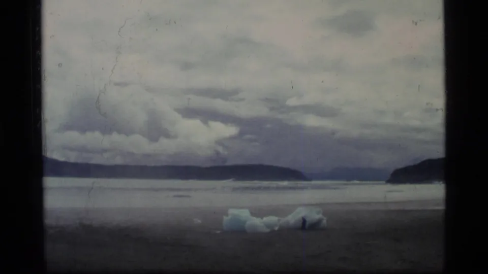 Glacier Bay shoreline view with calm water, distant dark landforms, low clouds, and floating ice.