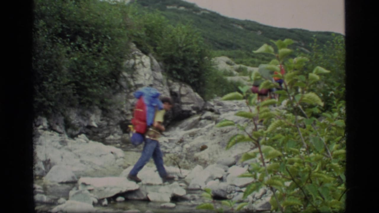 A hiker with a large red and blue backpack steps across a rocky stream bed amid green brush.