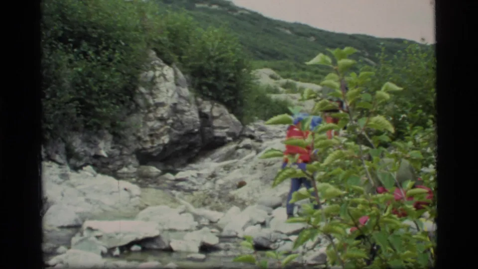 A hiker with a bright pack appears partly obscured by foreground leaves while crossing rocky terrain in Glacier Bay, Alaska.