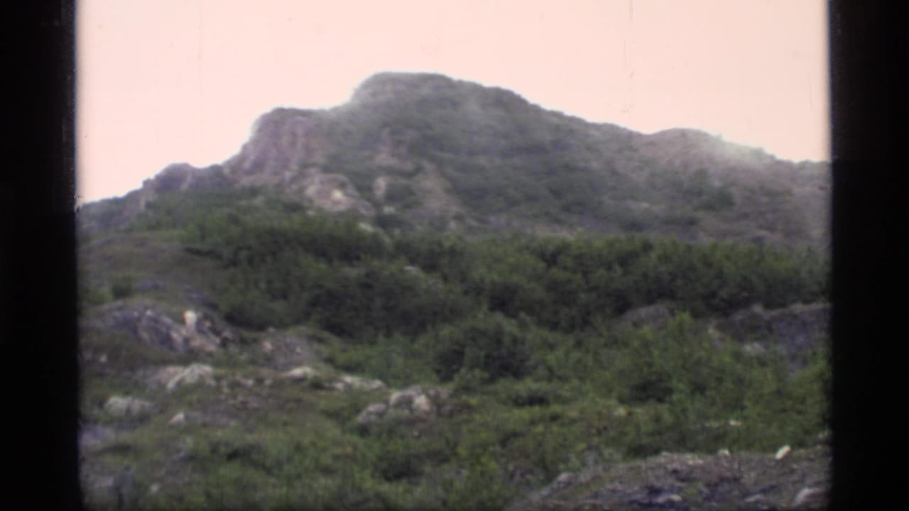 1977 Glacier Bay home-movie frame showing low shrubs, rocky ground, and a misty mountain ridge under pale overcast light.