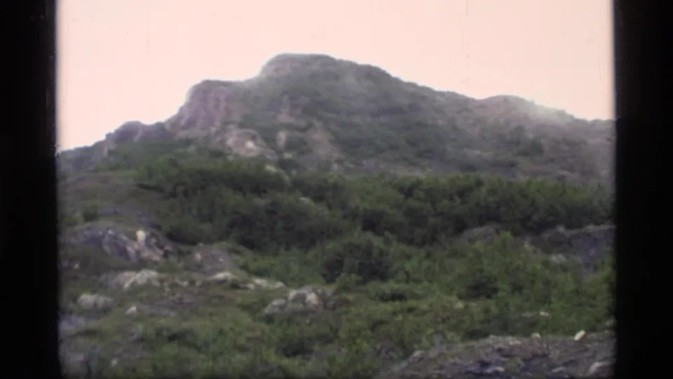 1977 Glacier Bay home-movie frame showing low shrubs, rocky ground, and a misty mountain ridge under pale overcast light.
