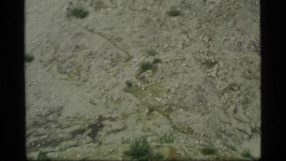 Glacier Bay home-movie frame showing rugged rocky hillside, low vegetation and handheld 8mm softness.