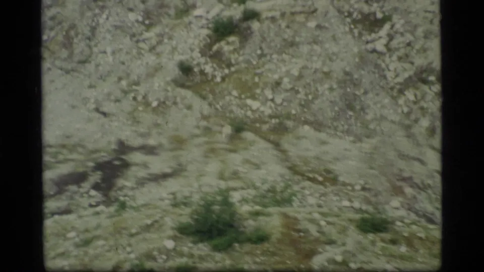 1977 Glacier Bay frame ending on rocky alpine terrain with small shrubs and visible 8mm grain.