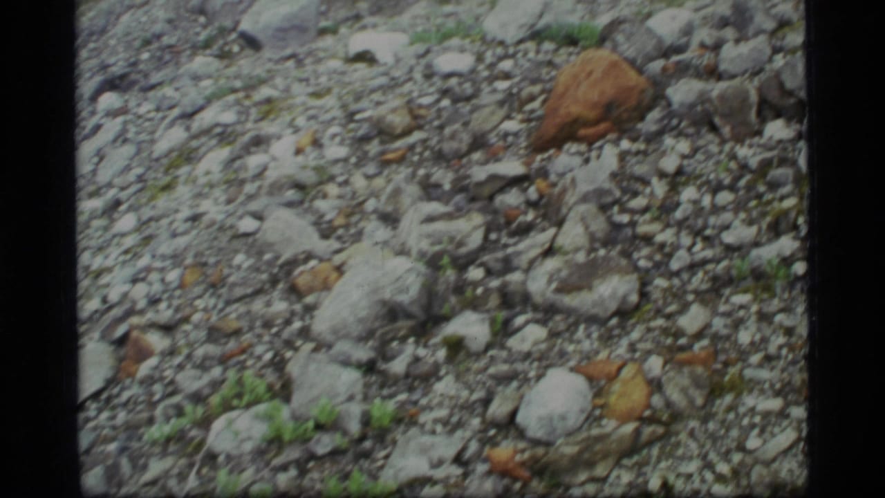 1977 Glacier Bay 8mm frame showing rocky ground, scattered gray stones, and a larger brown rock at a distance.