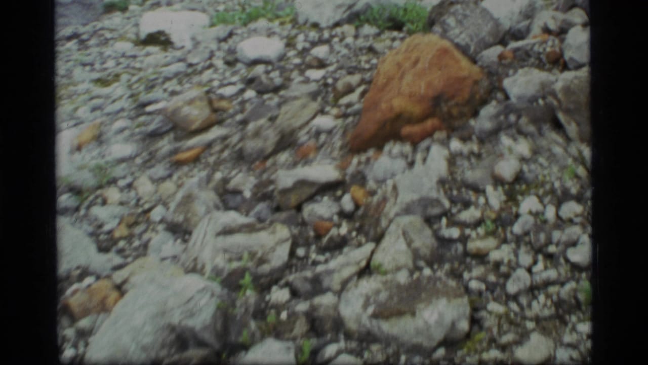 Gravel slope with a larger brown rock surrounded by gray stones and sparse greenery.