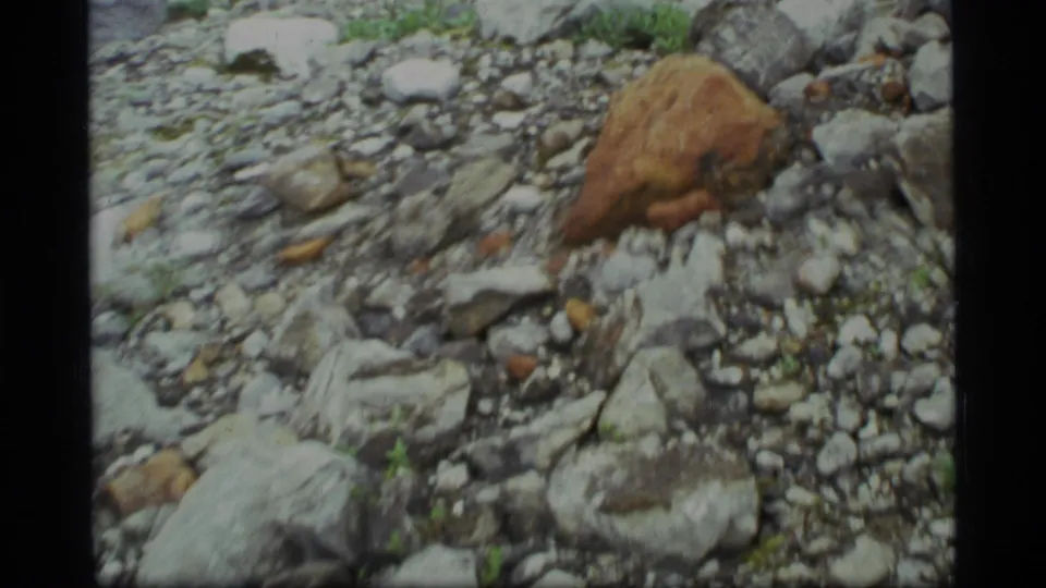 1977 Glacier Bay 8mm view of a brown rock set among gray stones and patches of green vegetation.