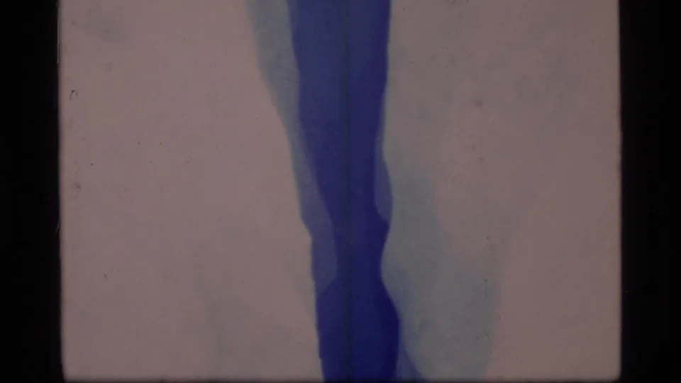 The 8mm frame shows a vertical blue crevasse against a pale Glacier Bay snowfield, with visible film texture.
