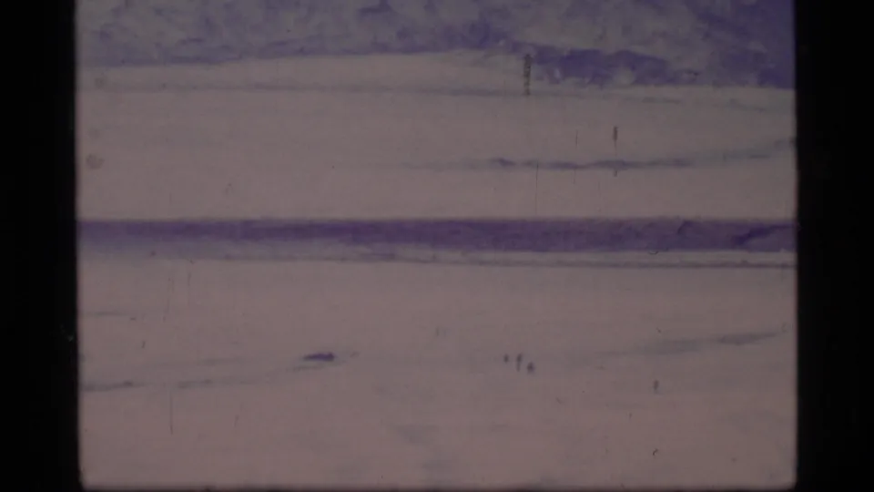 Wide 8mm view of the Glacier Bay landscape, with pale ice or snow fields and distant mountain forms on the horizon.
