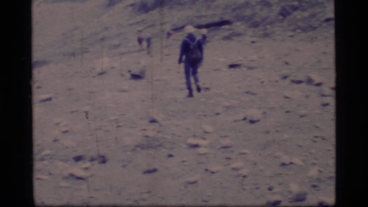 A 1977 Glacier Bay frame shows a hiker seen from behind, carrying a backpack across a pale rocky expanse with distant walkers.