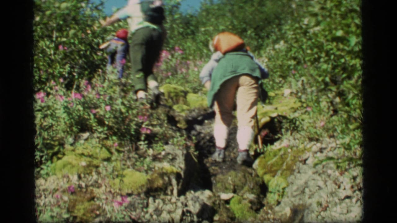 1977 8mm Glacier Bay hiking footage shows a small group climbing a mossy, rocky trail through dense green vegetation.
