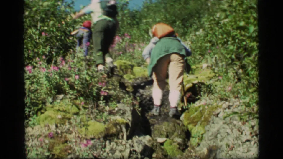 1977 8mm Glacier Bay hiking footage shows a small group climbing a mossy, rocky trail through dense green vegetation.