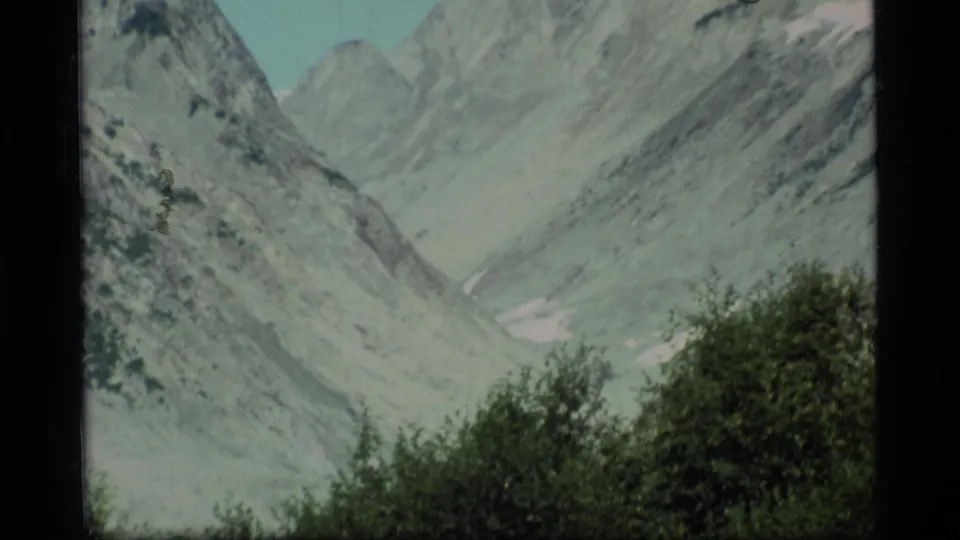 Glacier Bay mountain scene with steep rocky slopes, pale glacier ice, and foreground trees on 8mm film.