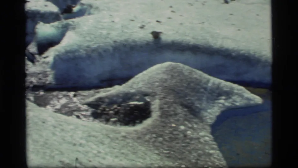 1977 Glacier Bay 8mm frame showing textured glacier ice, a melt channel, and dark sediment embedded in the snow surface.